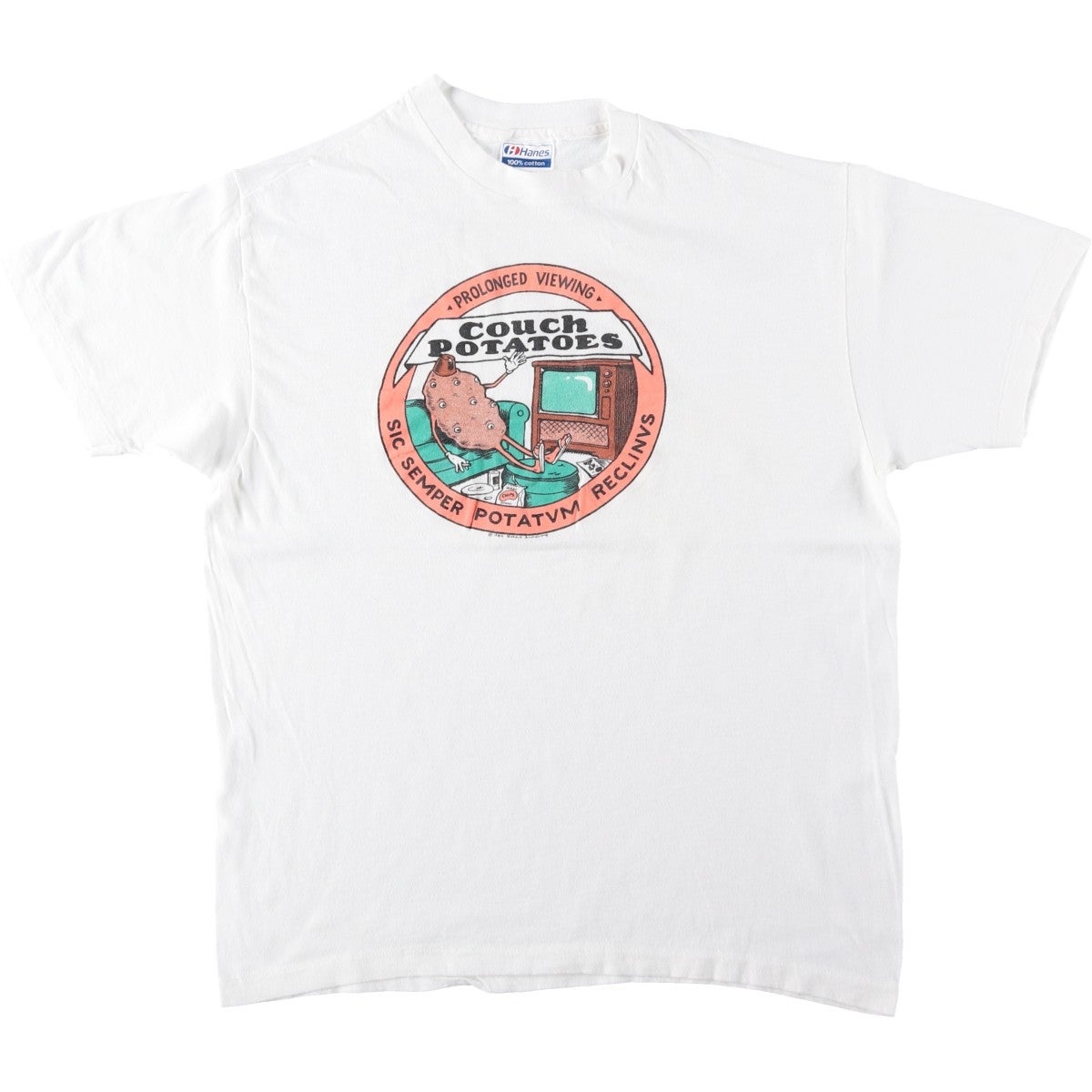 古着 80年代 ヘインズ Hanes Couch Potato アートTシャツ USA製 メンズ