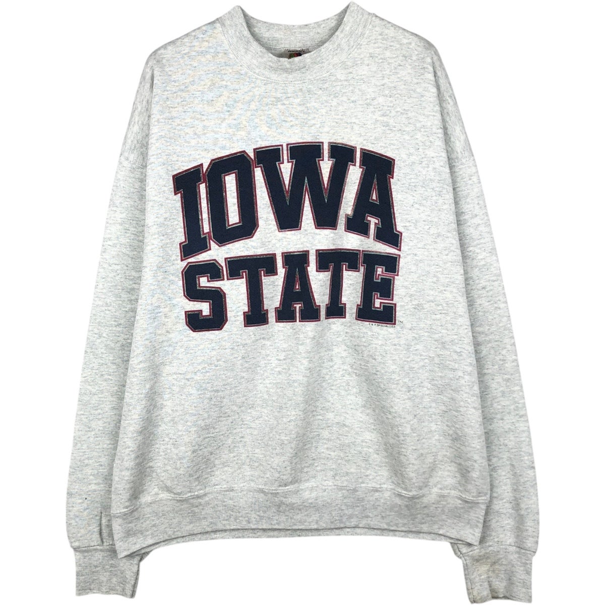 古着 90年代 フルーツオブザルーム FRUIT OF THE LOOM MICHIGAN STATE