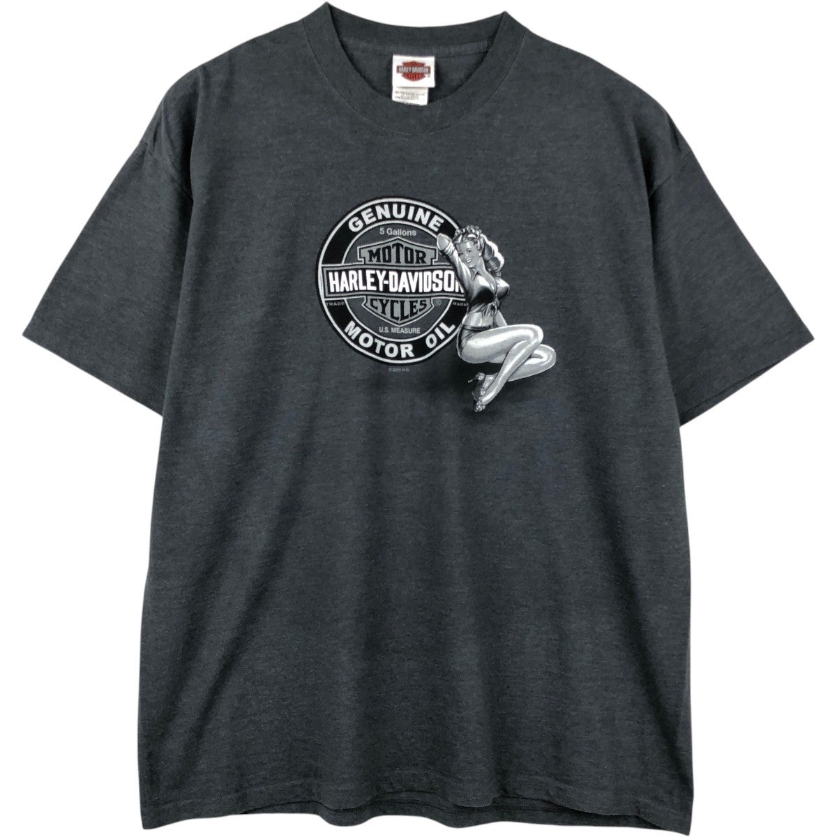 古着 ハーレーダビッドソン Harley-Davidson ピンナップガール
