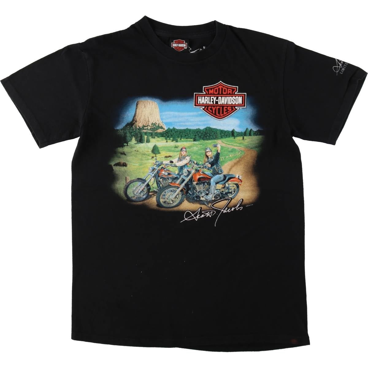 古着 ハーレーダビッドソン Harley-Davidson ピンナップガール