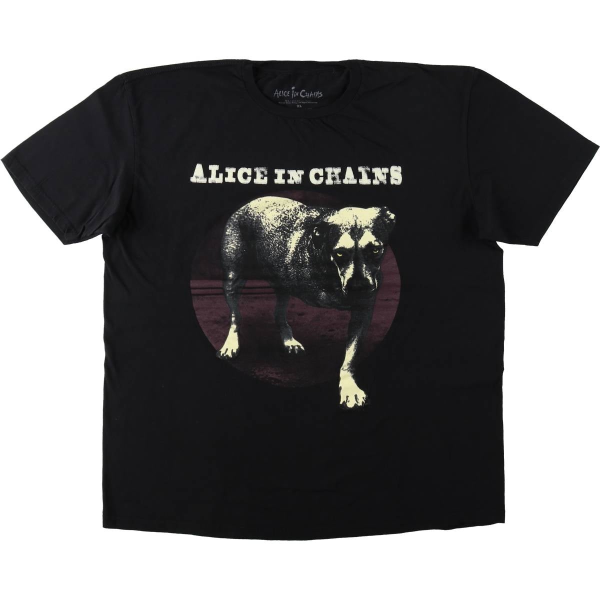 古着 ALICE IN CHAINS アリスインチェインズ バンドTシャツ バンT
