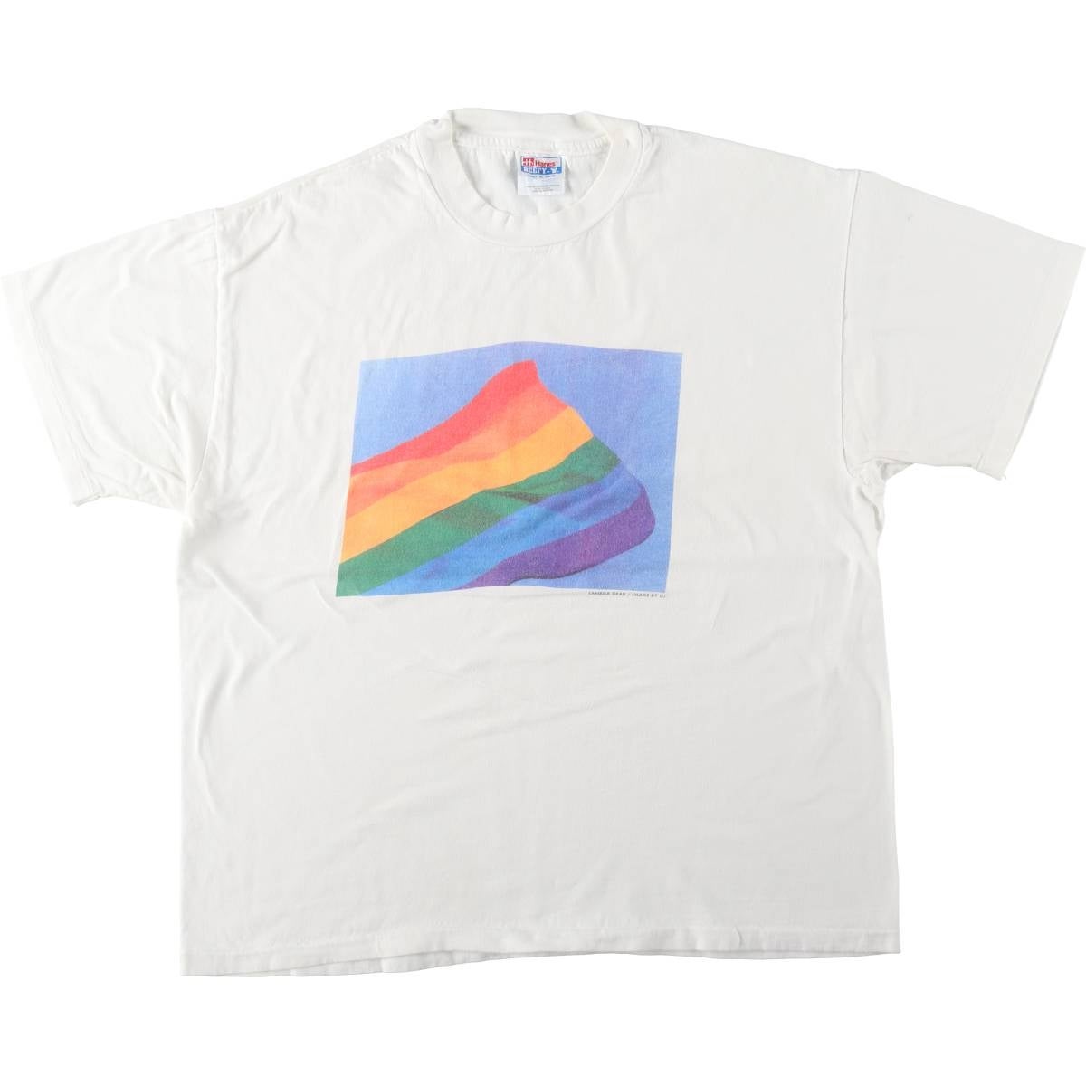 古着 90年代 ヘインズ Hanes BEEFY-T プリントTシャツ USA製 メンズXL