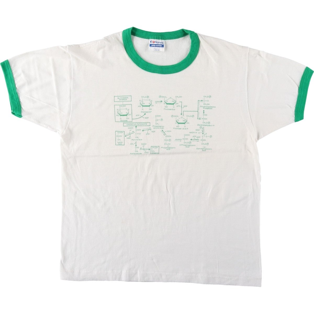 古着 80年代 ヘインズ Hanes ACTIVEWEAR 青タグ プリントスウェット