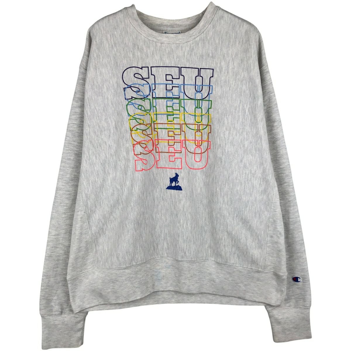 古着 チャンピオン Champion REVERSE WEAVE リバースウィーブ Jacavone
