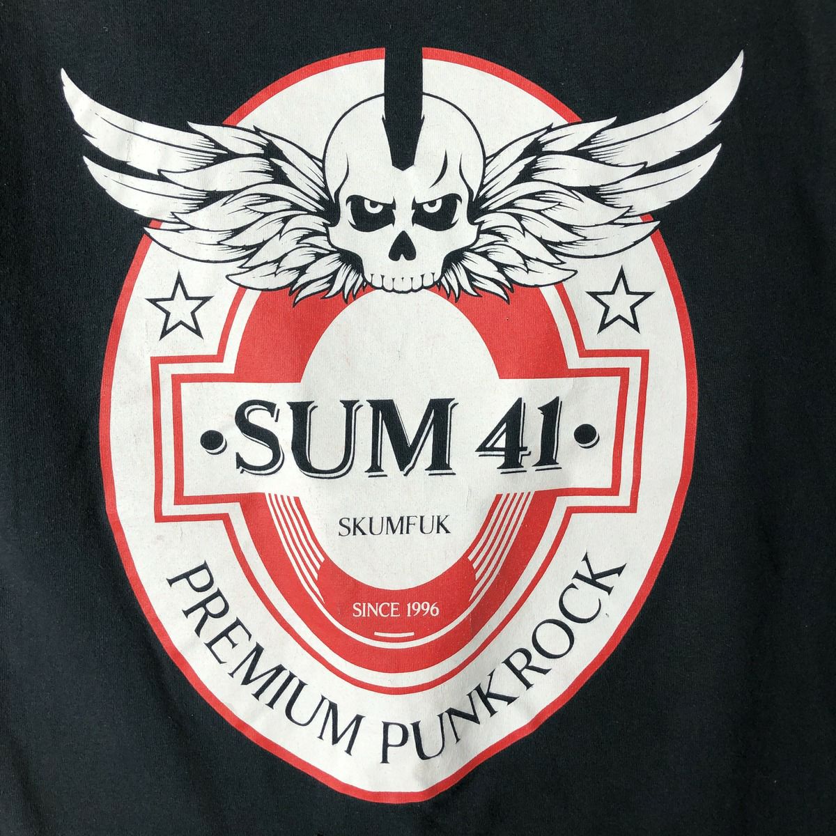 古着 Sum 41 サムフォーティンワン ドクロ柄 スカル柄 バンドTシャツ