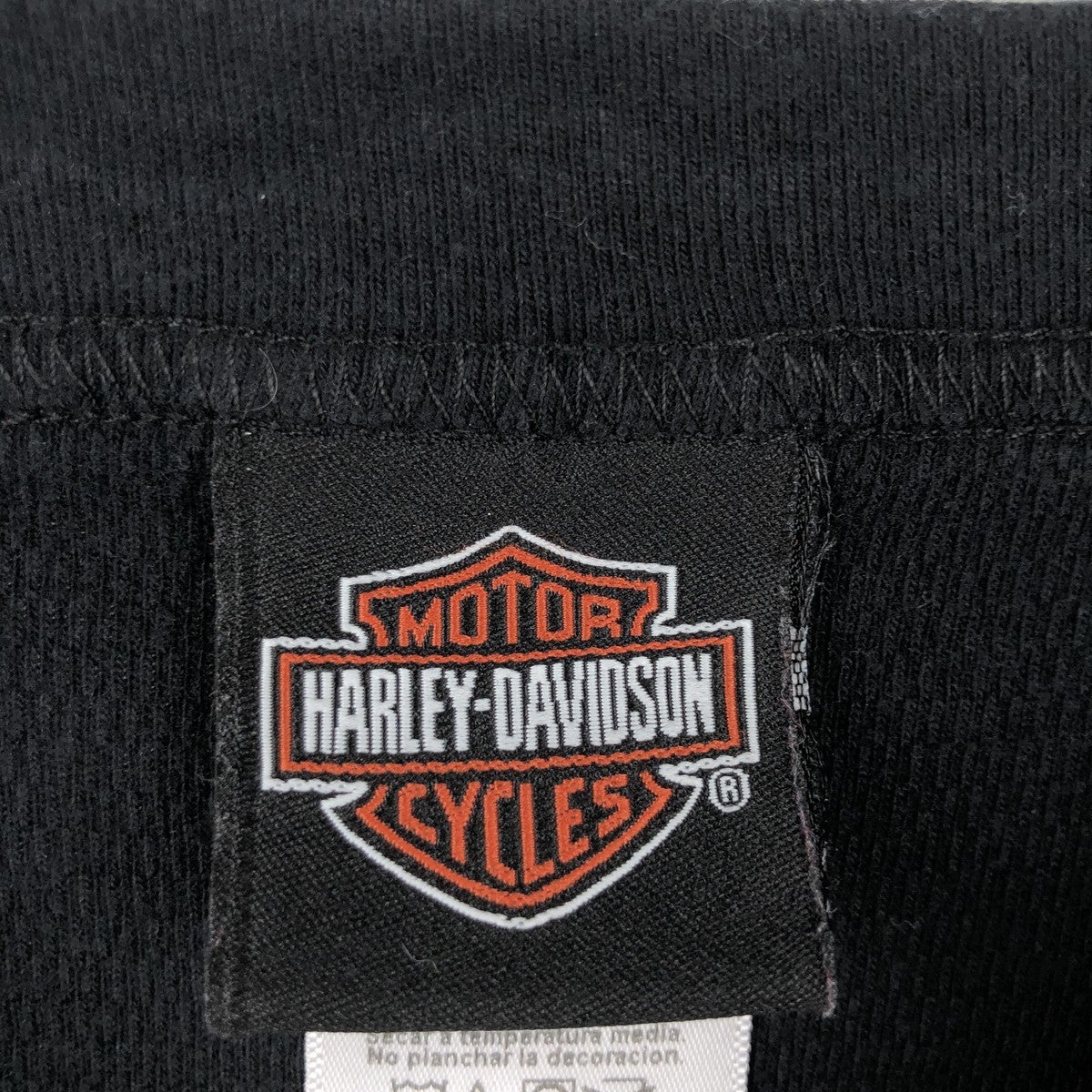 古着 ハーレーダビッドソン Harley-Davidson ドクロ柄 スカル柄