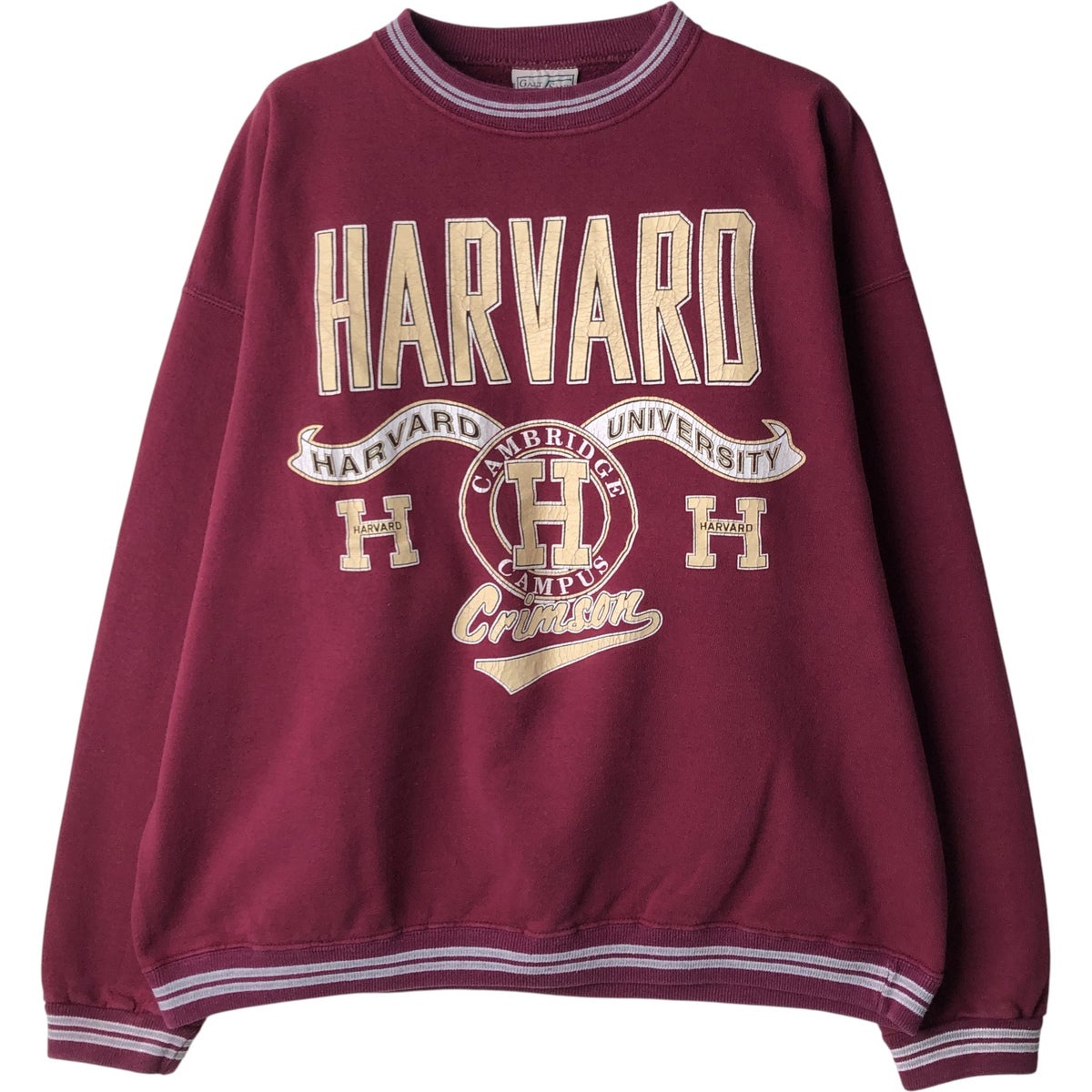 古着 90年代 チャンピオン Champion FIGHTIN IRISH ノートルダム大学