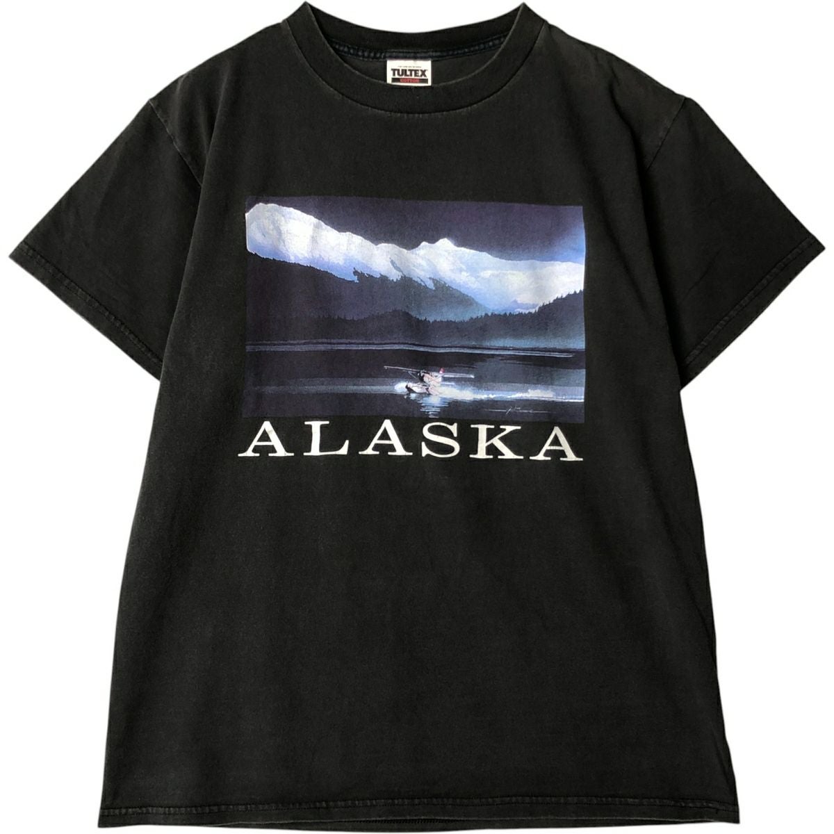 古着 90年代 タルテックス TULTEX スーベニアTシャツ メンズL相当