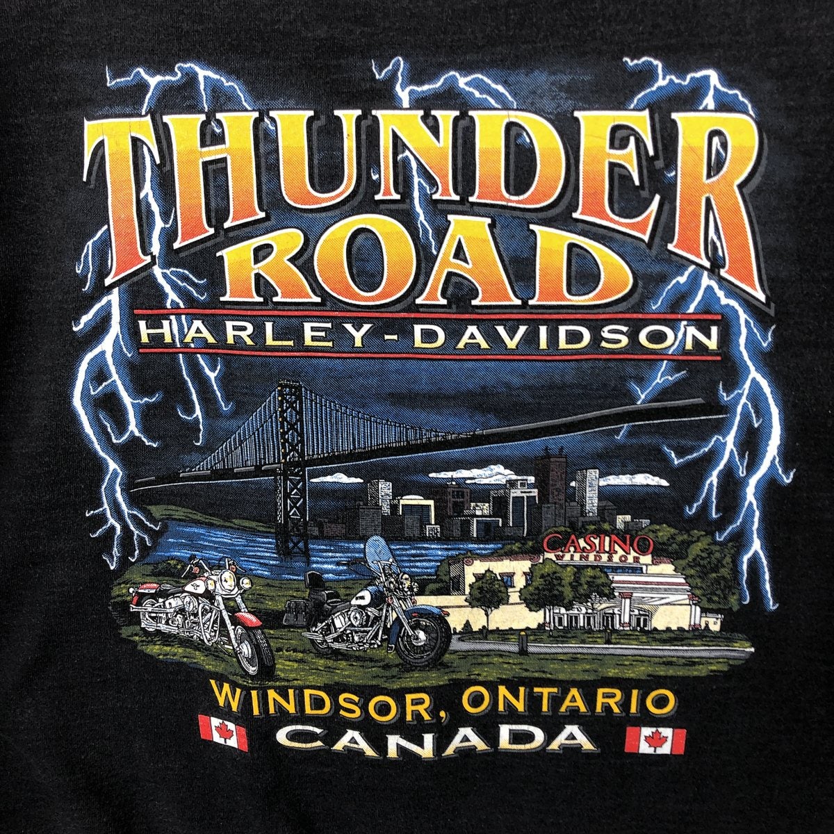 古着 90年代 ハーレーダビッドソン Harley-Davidson 鷲柄 イーグル柄 サンダー モックネック モーターサイクル ロングTシャツ ロンT USA製 レディースL相当 ヴィンテージ/eaa615050 古着 90年代 ハーレーダビッドソン 鷲柄 イーグル柄 サンダー モック