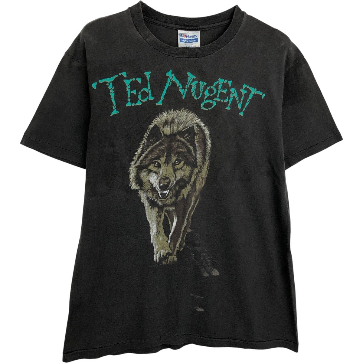古着 90年代 ヘインズ Hanes The Sun Sawed in 1/2 バンドTシャツ バン