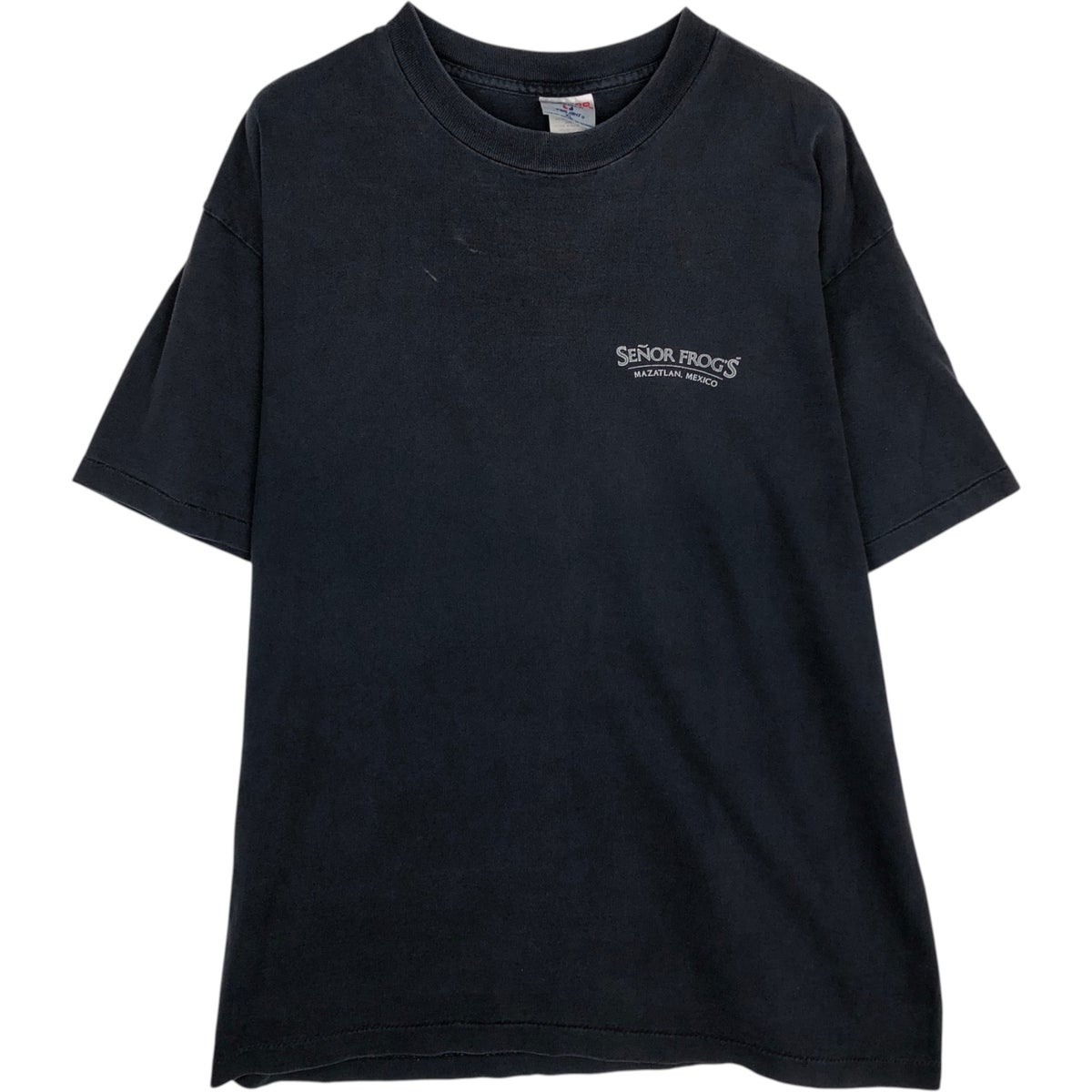 古着 90年代 TENNESSEE RIVER プリントTシャツ USA製 メンズXL相当