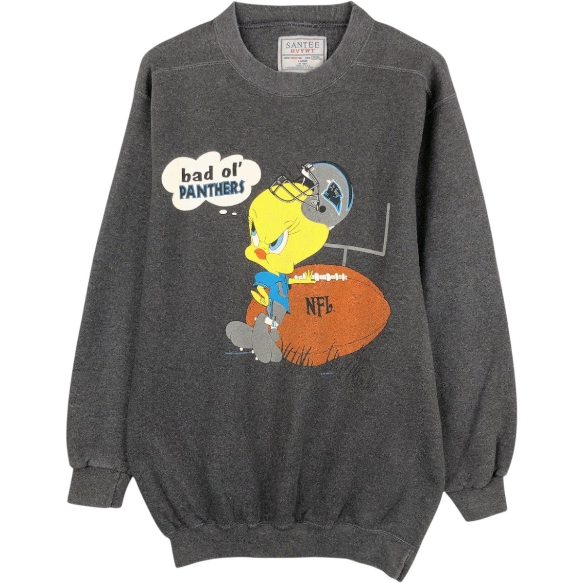 古着 90年代 LOONEY TUNES ルーニーテューンズ トゥイーティー 大判