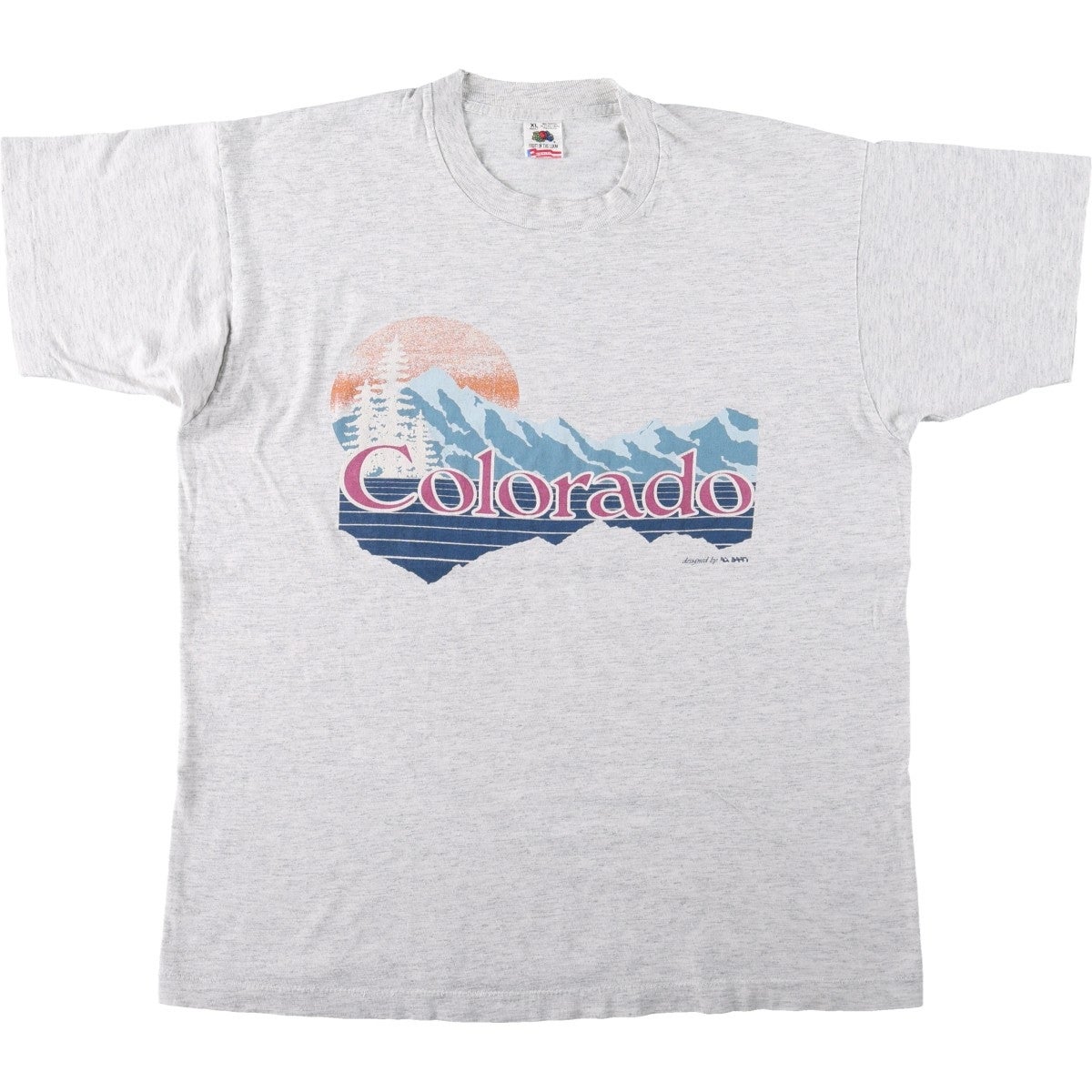 古着 90年代 フルーツオブザルーム FRUIT OF THE LOOM プリントTシャツ