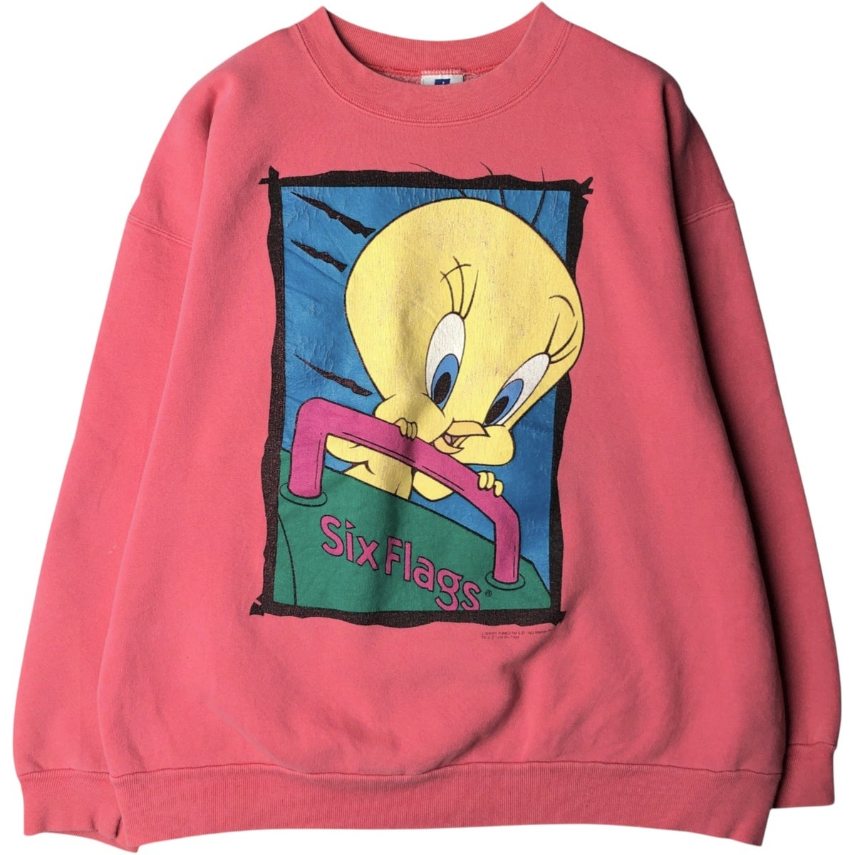 古着 90年代 LOONEY TUNES ルーニーテューンズ トゥイーティー
