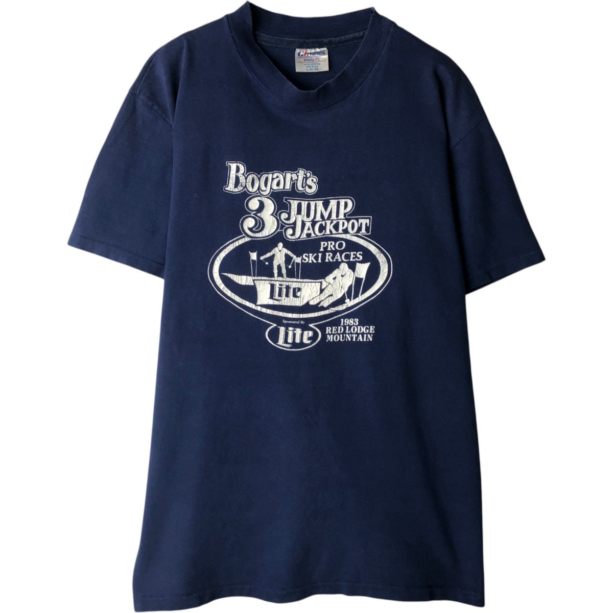 古着 80年代 ヘインズ Hanes BEEFY-T プリントTシャツ USA製 メンズL