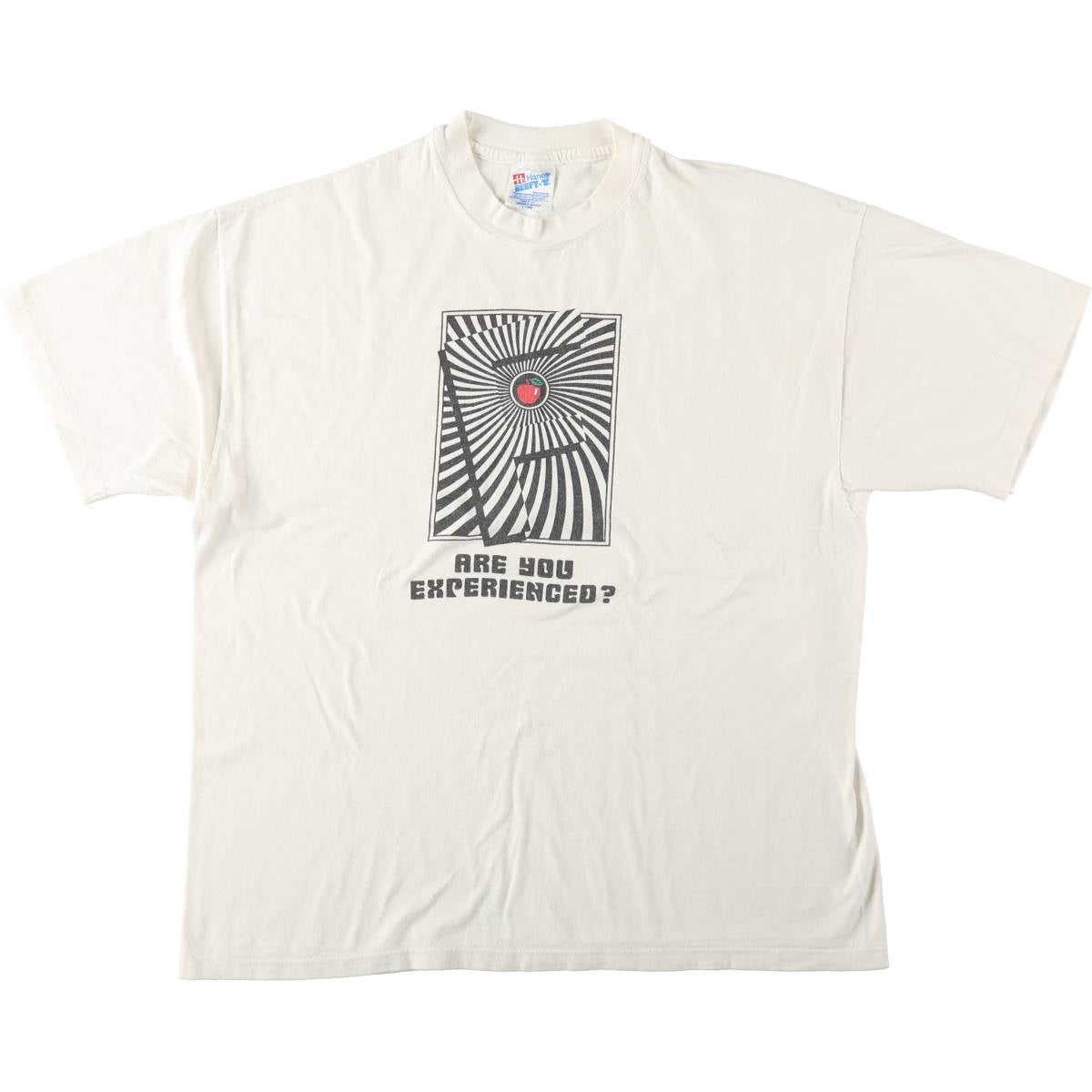 古着 90年代 ヘインズ Hanes BEEFY-T プリントTシャツ USA製 メンズXL 古着 90年代 ヘインズ Hanes BEEFY-T プリントTシャツ USA製 メンズXL