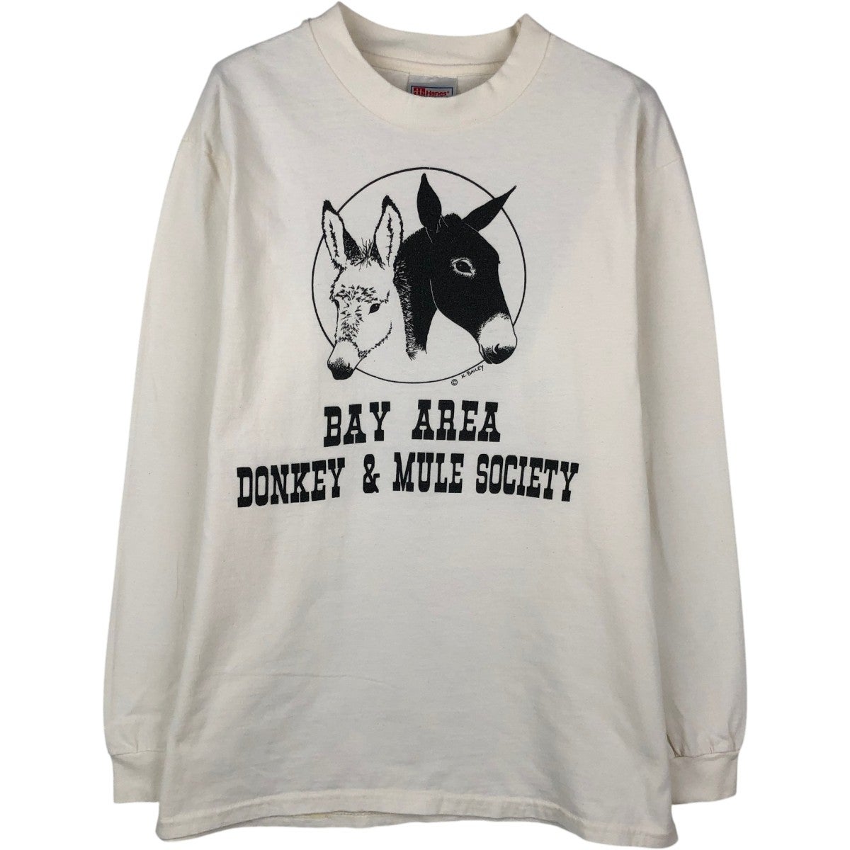古着 90年代 ヘインズ Hanes BEEFY-T アニマル柄 ロングTシャツ ロンT