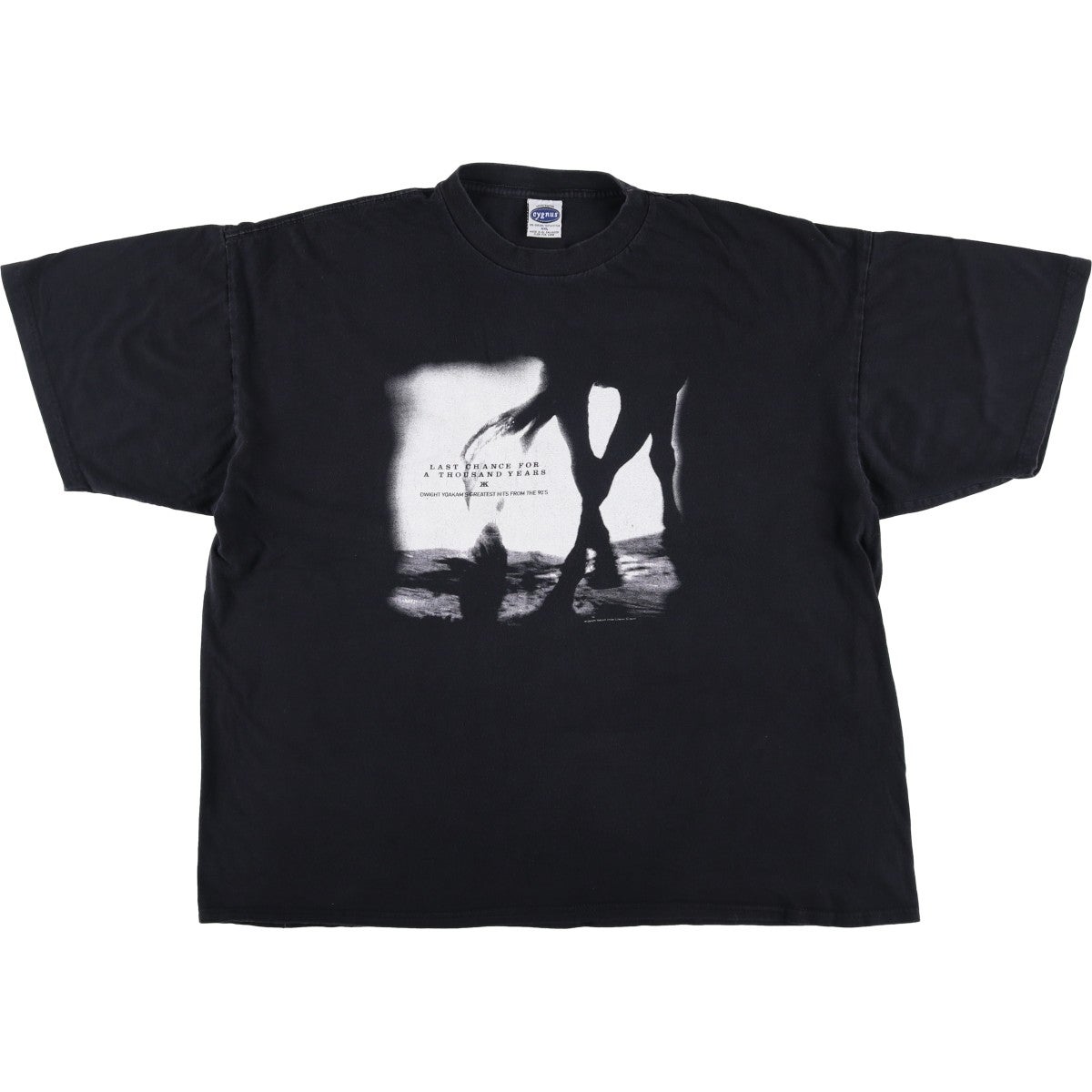 90s Godsmack ヴィンテージTシャツ ゴッドスマック バンドT 当時物 古着 GODSMACK ゴッドスマック バンドTシャツ バンT メンズXL相当