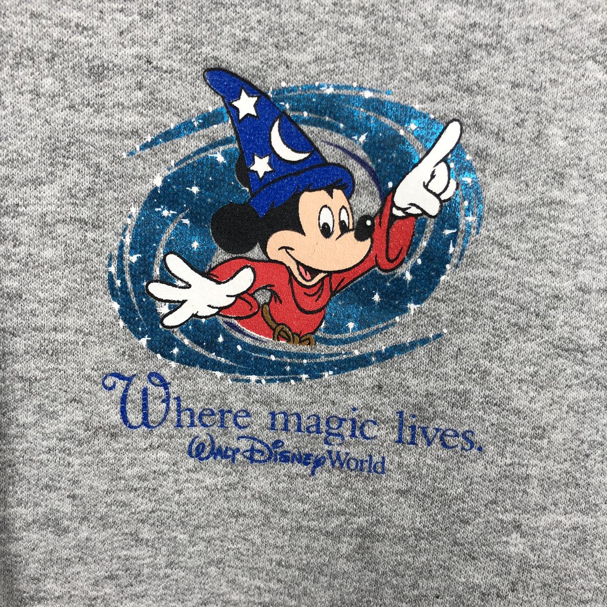 古着 ヘインズ Hanes DISNEY ディズニー WHERE MAGIC LIVES キャラクター スウェットプルオーバーパーカー レディースM相当 ヴィンテージ/eaa495699 古着 ヘインズ Hanes DISNEY ディズニー WHERE MAGIC LIVES