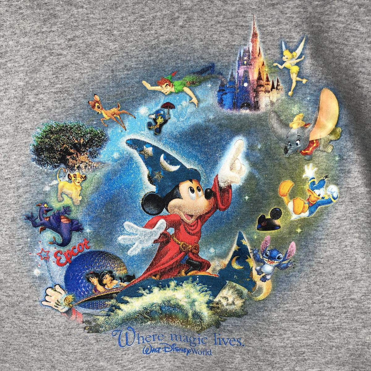 古着 ヘインズ Hanes DISNEY ディズニー WHERE MAGIC LIVES キャラクター スウェットプルオーバーパーカー レディースM相当 ヴィンテージ/eaa495699 古着 ヘインズ Hanes DISNEY ディズニー WHERE MAGIC LIVES