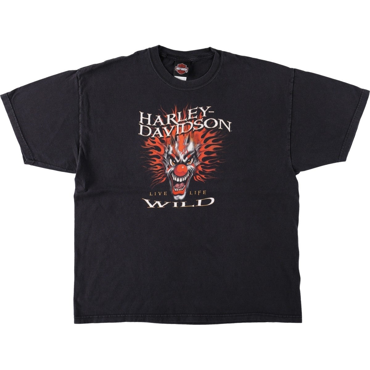 古着 ヘインズ Hanes Harley-Davidson ハーレーダビッドソン モーター