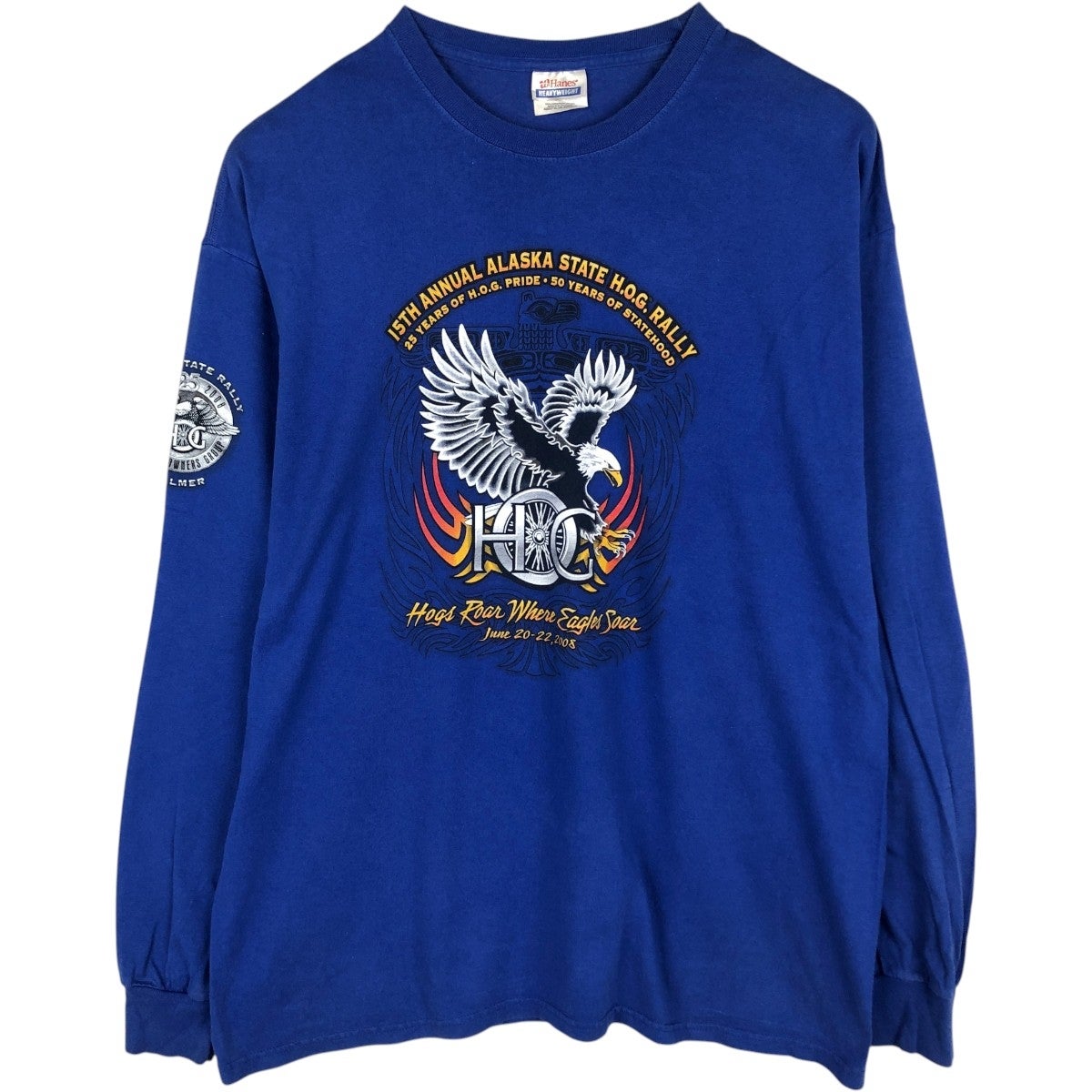 古着 90年代 ヘインズ Hanes BEEFY-T 鷲柄 イーグル柄 プリントTシャツ