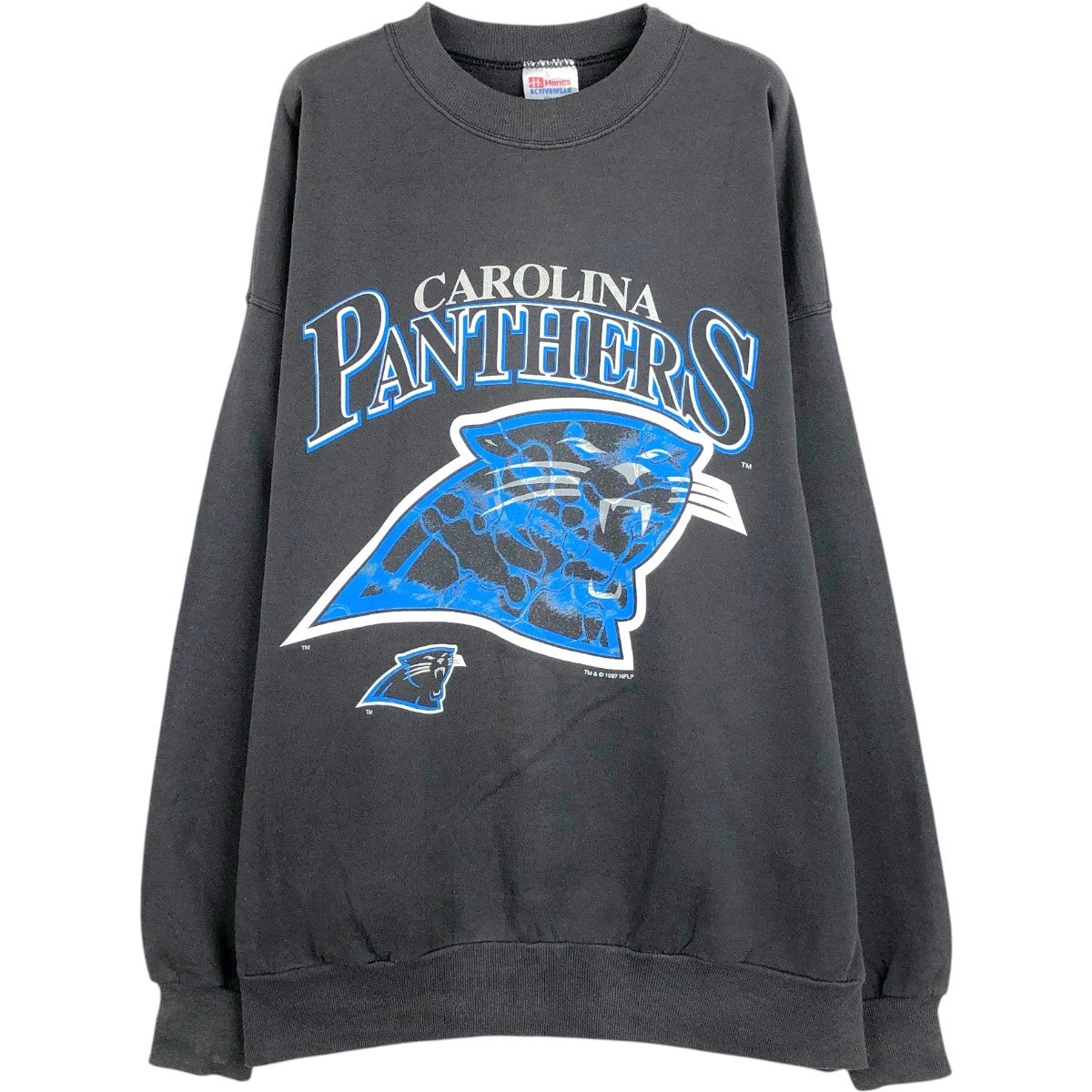 CAROLINA PANTHERS スウェットシャツ 1993年製USA製品 古着 90年代 ヘインズ Hanes NFL CAROLINA PANTHERS カロライナ