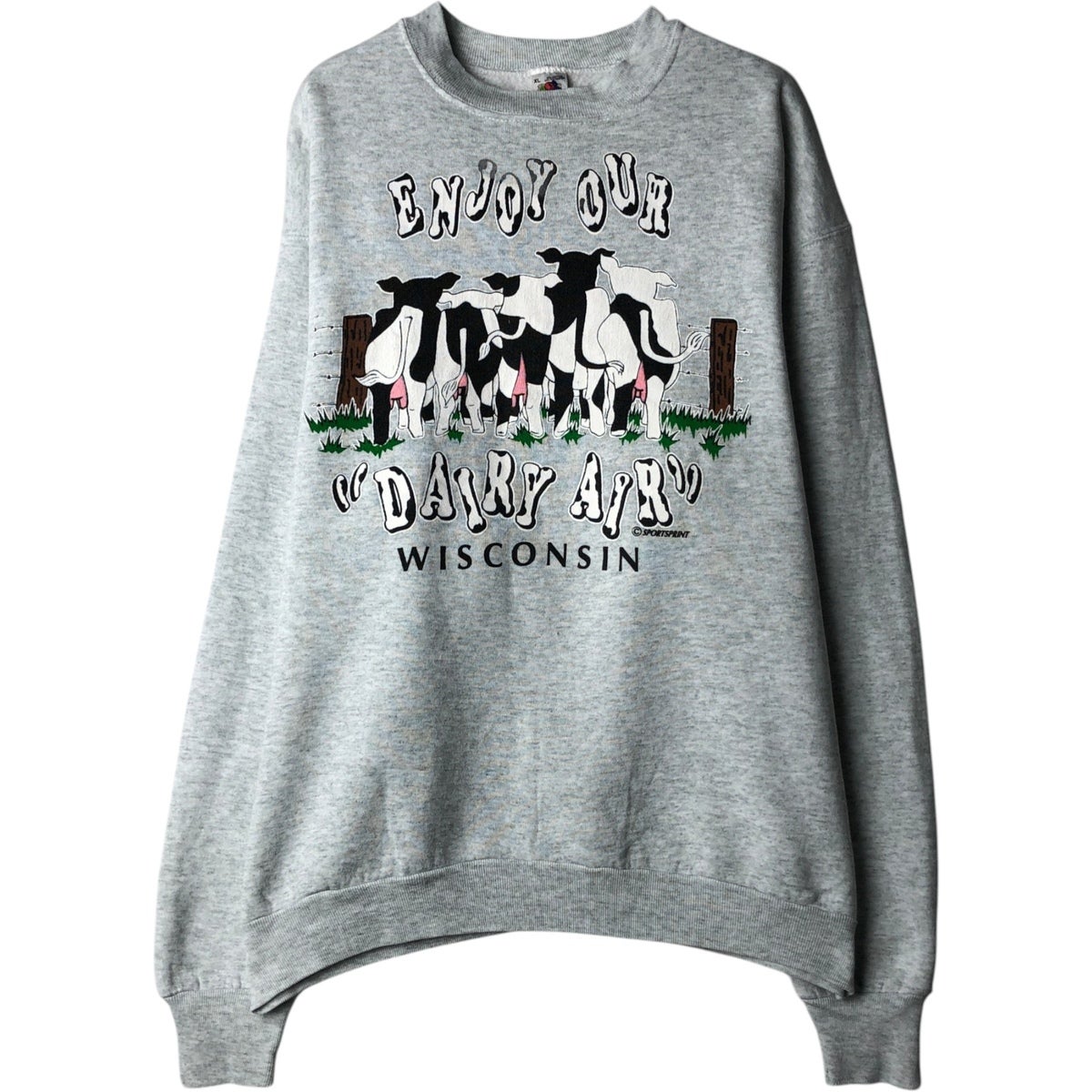 古着 90年代 フルーツオブザルーム FRUIT OF THE LOOM SUPERCOTTON