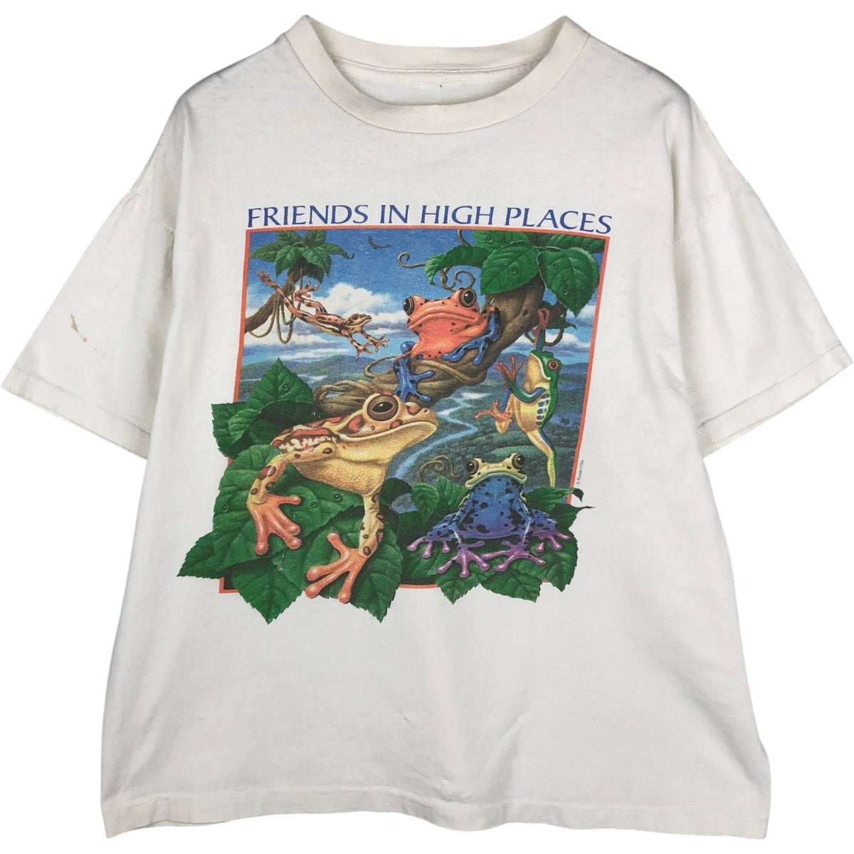 古着 90年代 MORRIS モーリス 9-LIVES ネコ柄 アニマル柄 アニマルTシャツ レディースS相当 ヴィンテージ/eaa635580 古着 90年代 MORRIS モーリス 9-LIVES ネコ柄 アニマル柄 アニマルT