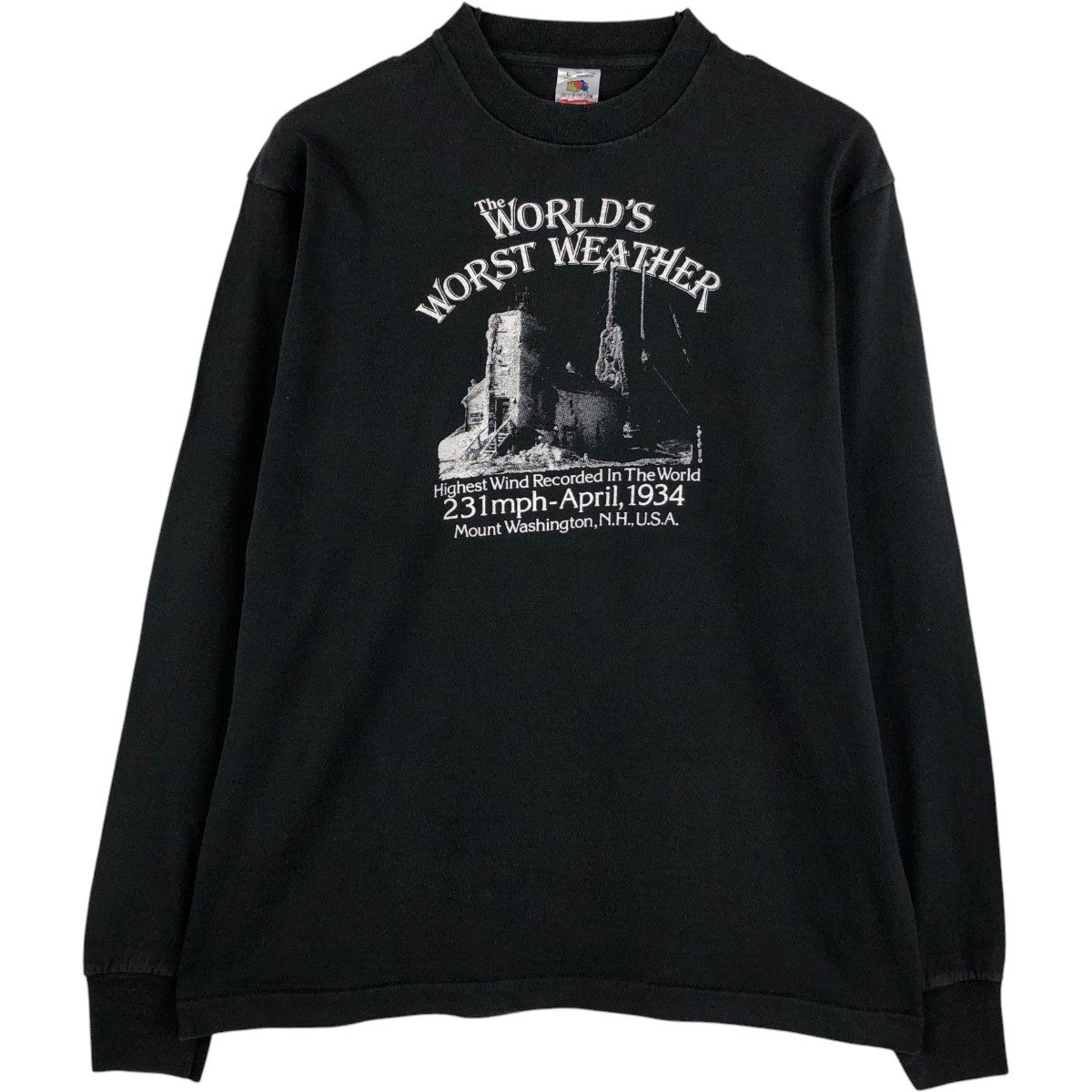古着 90年代 フルーツオブザルーム FRUIT OF THE LOOM ロングTシャツ
