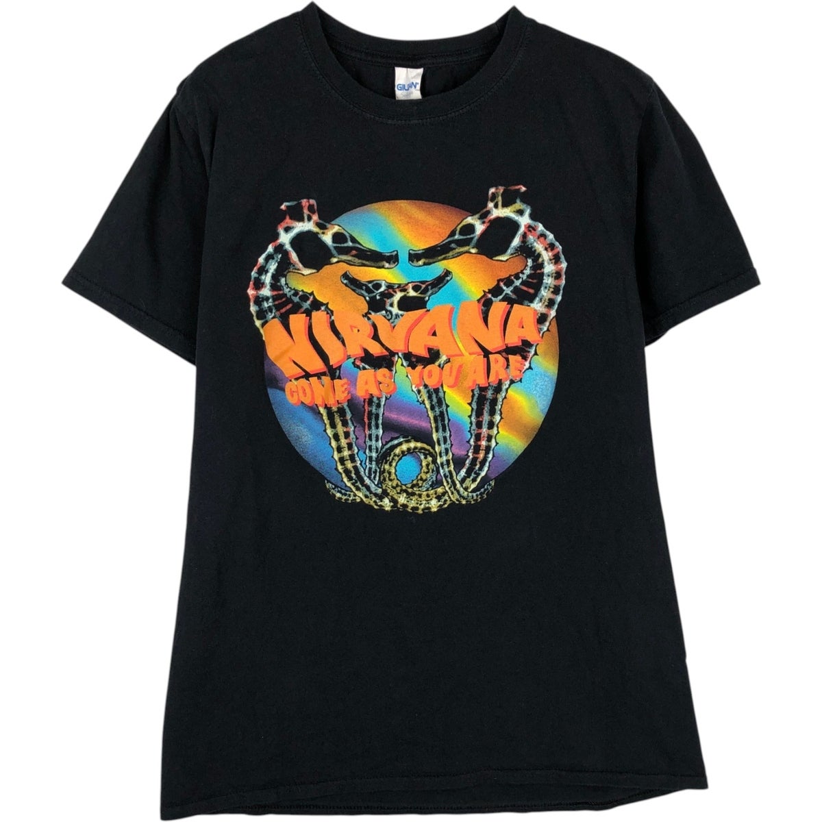 古着 ギルダン GILDAN NIRVANA ニルヴァーナ バンドTシャツ バンT