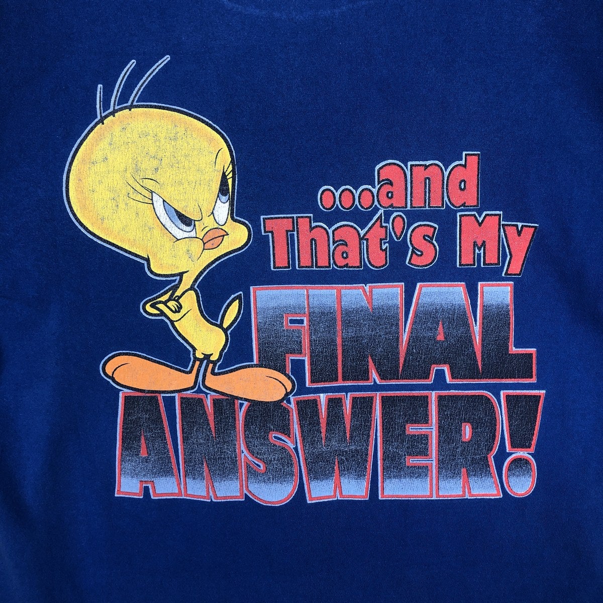 古着 90年代 LOONEY TUNES ルーニーテューンズ TWEETY トゥイーティー