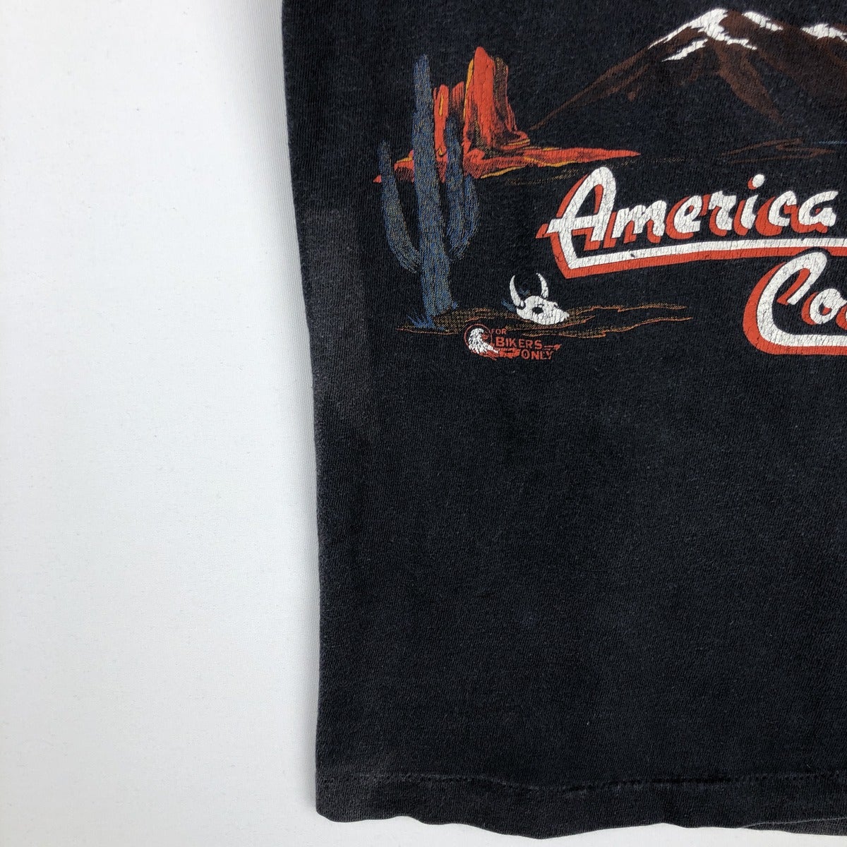 古着 80年代 ヘインズ Hanes BEEFY-T 青タグ 鷲柄 イーグル柄 Harley