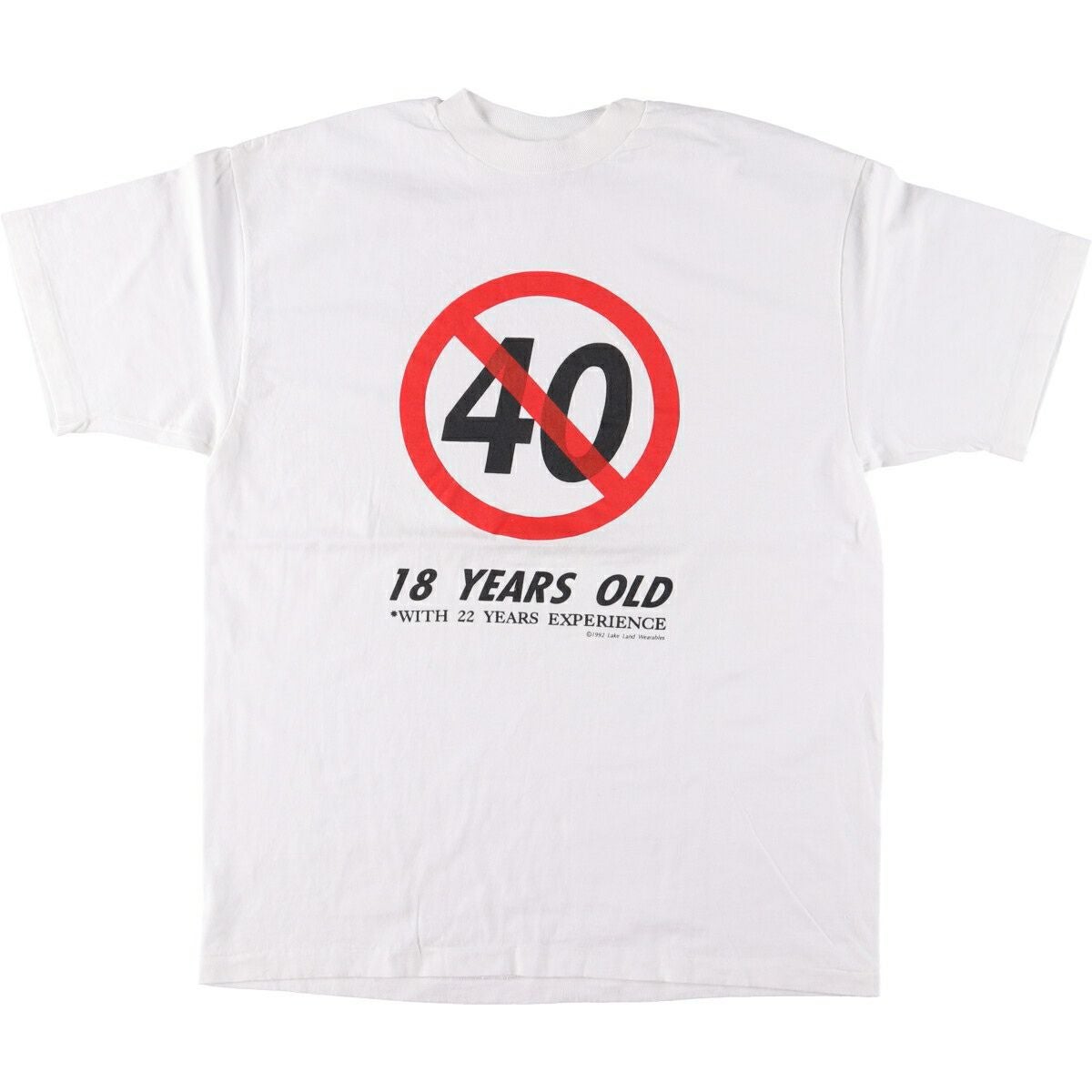 古着 90年代 ヘインズ Hanes BEEFY-T 青タグ プリントTシャツ USA製